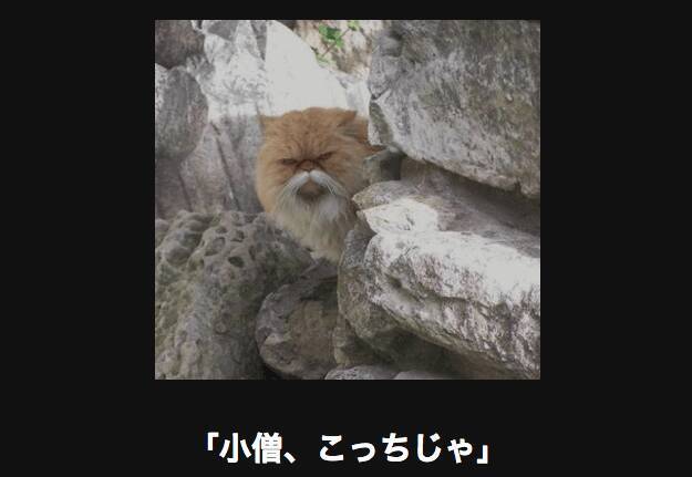 明日の仕事が頑張れる 笑えて元気が出るにゃんこの画像大喜利18選 15年6月28日 エキサイトニュース 明日の仕事が頑張れる 笑えて元気が出るにゃんこの画像大喜利18選 15年6月28日 エキサイトニュース