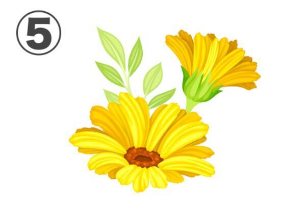 心理テスト あなたの 性格タイプ を診断 惹かれる花を選んでね 22年8月18日 エキサイトニュース 心理テスト あなたの 性格タイプ を診断 惹かれる花を選んでね 22年8月18日 エキサイトニュース