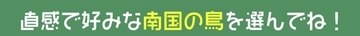 【心理テスト】選んだ南国の鳥が「あなたの性格へのレビュー」を運んできます！