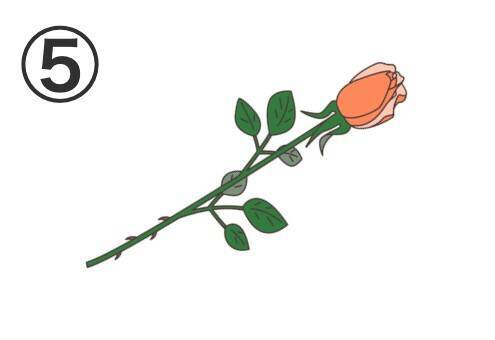 【心理テスト】あなたの「恋心が冷めるポイント」は？薔薇を選んで診断！