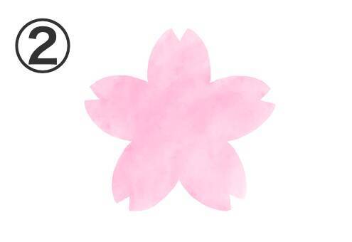 心理テスト 桜の花で性格診断 あなたの 心の栄養 は 美しい景色 友達の幸福 22年3月11日 エキサイトニュース