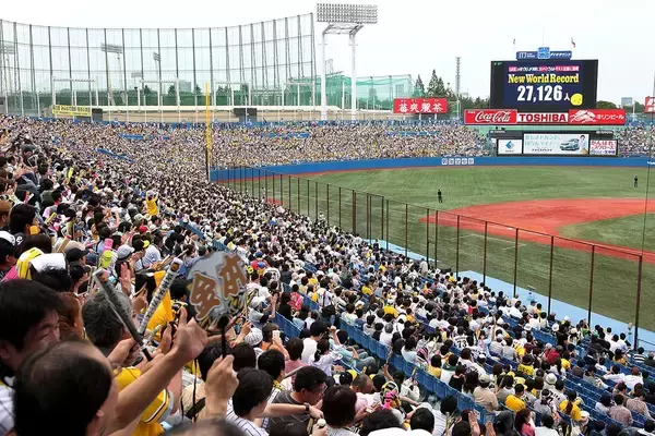 「阪神タイガース38年ぶり日本一後のキャンプ“激変”、メディアは辟易の理由」の画像