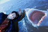 「サメ社会学者Rickyに聞く、「サメ映画」という深～い沼と可能性」の画像4