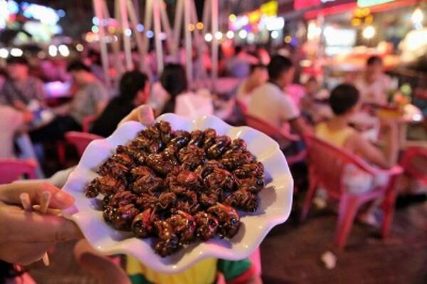 ひと夏で数十万円荒稼ぎ セミの幼虫をガムテープで乱獲する 昆虫食大国 中国の村人たち 15年7月9日 エキサイトニュース