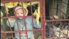 中国版“パチンカス”!?　3歳児を犬用の檻に閉じ込め、麻雀に没頭する鬼母