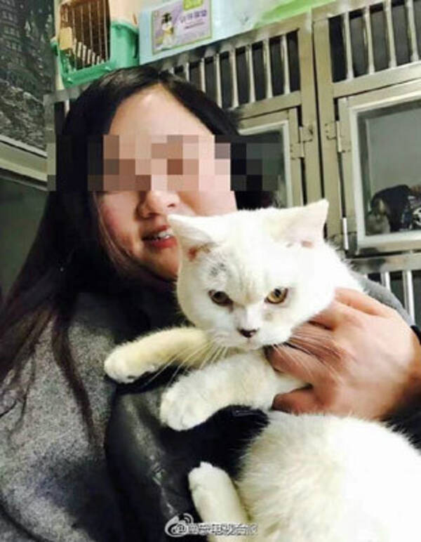ペットショップへの腹いせ 返品拒否された女が 飼い猫の皮を剥いで店頭に遺棄 17年1月25日 エキサイトニュース