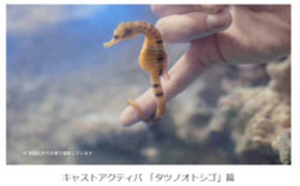 個人の感想です 演出です 過剰反応cmの細かすぎる 注意書き どこまで広がる 16年9月4日 エキサイトニュース