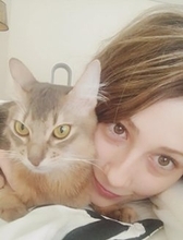 ダレノガレ、「猫虐待」にブチ切れ！　川島なお美、杉本彩……“動物愛護”に熱心な芸能人