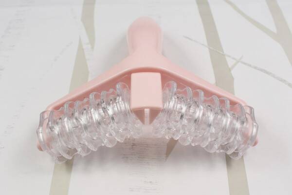 100均ずぼらシュラン 話題の 全身ローラー をダイソーで発見 ぜい肉をガッチリ挟む実力派 19年6月26日 エキサイトニュース