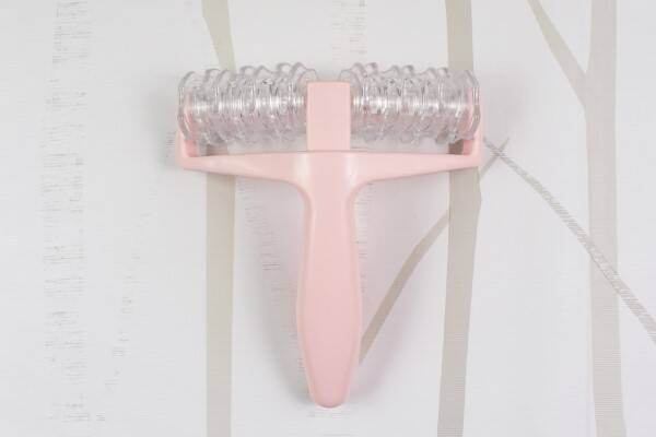 100均ずぼらシュラン 話題の 全身ローラー をダイソーで発見 ぜい肉をガッチリ挟む実力派 19年6月26日 エキサイトニュース