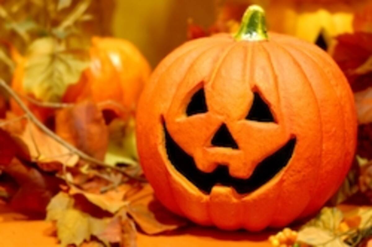 元極妻が考える山口組のハロウィン終了 12月13日 事始め 前後に 抗争 と諸説あり 19年11月10日 エキサイトニュース 元極妻が考える山口組のハロウィン終了 12月13日 事始め 前後に 抗争 と諸説あり 19年11月10日 エキサイトニュース