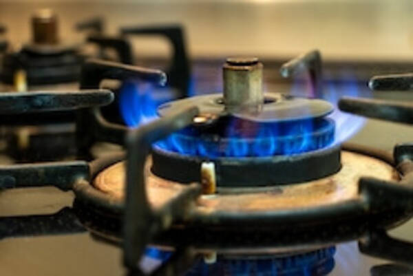 ヤクザの家はガスも止められる時代に 元極妻が考える どんどん進む排除と ライフライン 21年10月10日 エキサイトニュース