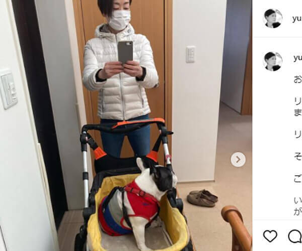 元king Prince 岩橋玄樹に かわいすぎて反則 木村拓哉は散歩中に自撮り 高岡早紀はすっぴん 芸能人の愛犬8連発 22年3月17日 エキサイトニュース