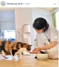 まさか！「久しぶりTVで見た」突然、絶大人気誇った平成歌姫→白TでTV現れネコの世話　現在の姿に騒然「どっから連れてきたw」「めちゃくちゃ美人」「降臨！」持田香織に驚き