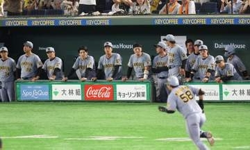 あっ！「打球注意」掲示の東京ドーム最前列に人気女性タレント2人　阪神ユニ＆ヘルメットで絶賛応援、双眼鏡でのぞきこむ