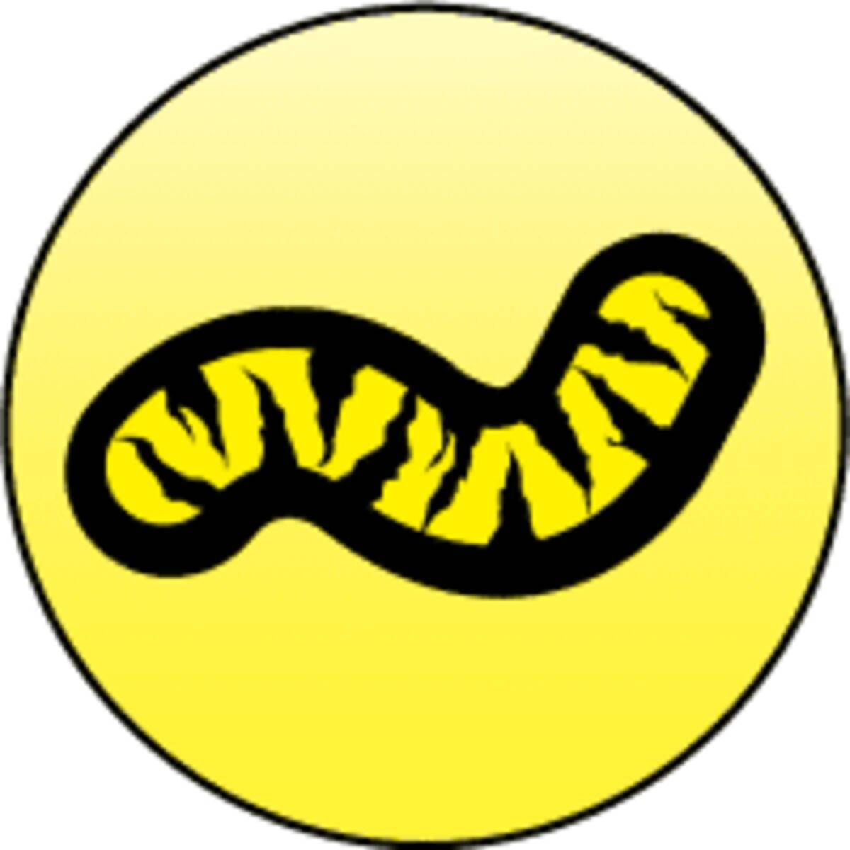 奇術師の松旭斎小天華さん死去 多臓器不全 76歳 22年1月27日 エキサイトニュース 奇術師の松旭斎小天華さん死去 多臓器不全 76歳 22年1月27日 エキサイトニュース