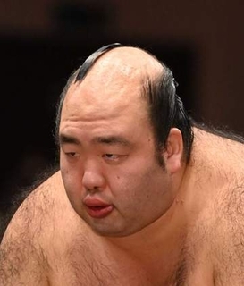 「土俵の妖精」がついに地上波に…「有吉ゼミ」に40場所連続負け越しの森麗が　女性ファン「可愛くて泣きそうです」