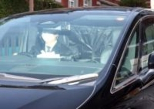 清水尋也被告、大麻使用は「ストレスや疲労」が原因　眠れない時に使用も　今後は「一般の仕事を探す」