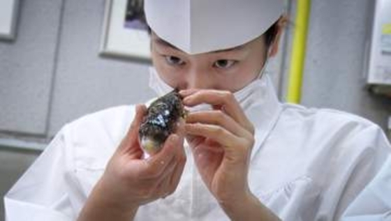 宇野航監督が沼ったフグの世界　会社を辞め私財を投じ、苦節10年執念の映画化「GUN　FISH」公開中