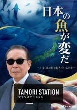 「タモリステーション」19日に“海の異変”特集　海を愛する女優・木村文乃ら出演
