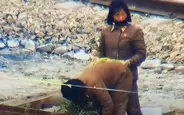 北朝鮮を「人力」時代に逆戻りさせた燃料欠乏の断末魔