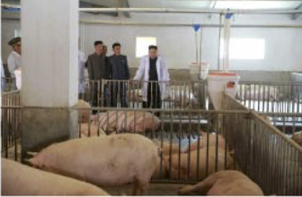 「外出もせず異様だ」ロシア養豚場で北朝鮮女性が集団生活