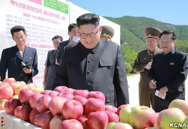 りんごが「解毒剤」になる…北朝鮮で出回る危ないウワサ
