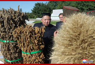 農業改革進まず貧富の差が激しくなる北朝鮮の農村