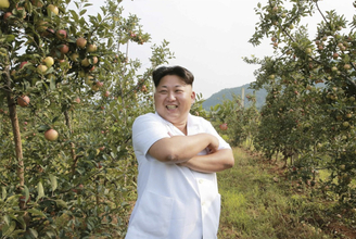 コロナ下の北朝鮮で広がる果物の病虫害、対策は手作り殺虫剤