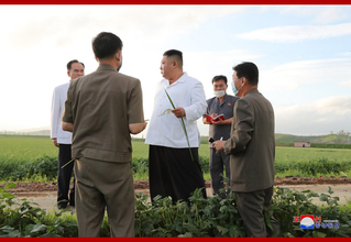 支援物資で借金返済、困窮する北朝鮮の水害被災者