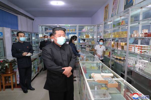 「感染者」激増の北朝鮮、ヨモギと酢でコロナに抗う