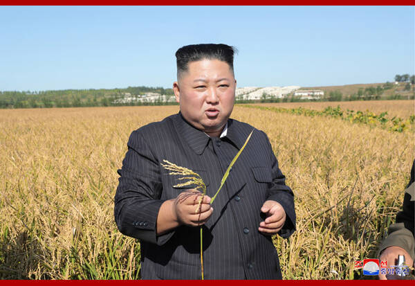 北朝鮮、一部地域で食糧配給…「田植え戦闘」労働力確保で