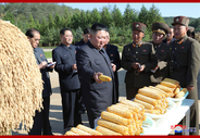 北朝鮮「金正恩就任１０周年記念」で大規模な食糧配給を実施