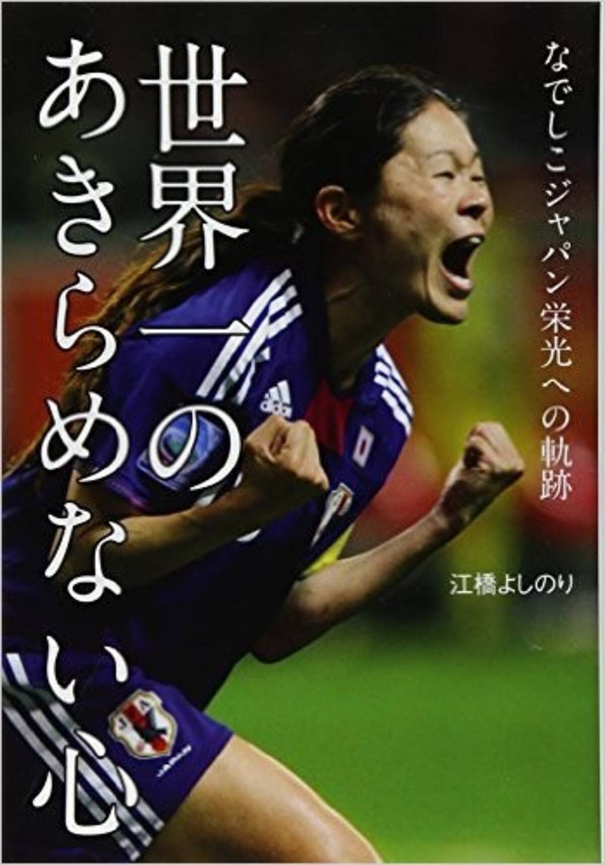 澤穂希がラストゲームでみせたゴール以上の輝き 15年12月31日 エキサイトニュース