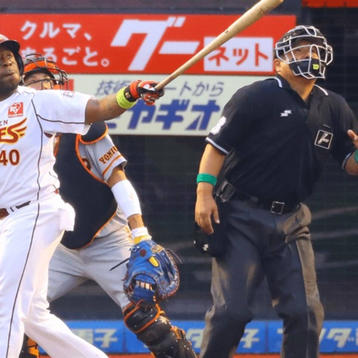 プロ野球 交流戦では緑のリストバンド 6月5日は 環境の日 野球界が取り組まなければならない環境活動とは 17年6月5日 エキサイトニュース