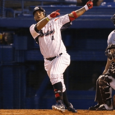 プロ野球 バレンティンだけじゃない 選手を襲った 鳥事件 列伝 16年5月13日 エキサイトニュース