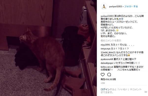 石田ゆり子 こんな映像を撮りました 自宅を荒らす犯人探しで衝撃の結末 18年3月30日 エキサイトニュース