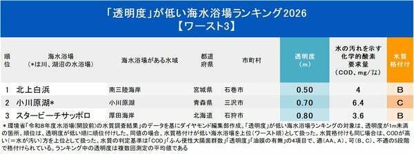 透明度が「低い」海水浴場ランキング2026【ワースト3】残念な1位は？