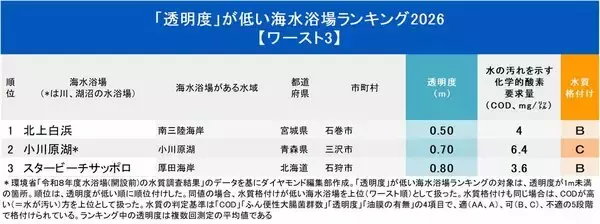 「透明度が「低い」海水浴場ランキング2026【ワースト3】残念な1位は？」の画像