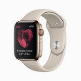 「Apple Watch、心電図アプリケーションと不規則な心拍の通知機能が利用可能に」の画像2
