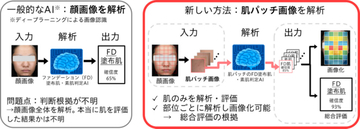 花王、肌の質感を評価・可視化する「肌評価AI」を開発