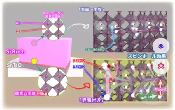 酸素原子のわずかな「ズレ」で磁石を反転――強磁性ワイル酸化物「単層」における高効率磁化反転で低消費電力磁気メモリへ道を拓く――