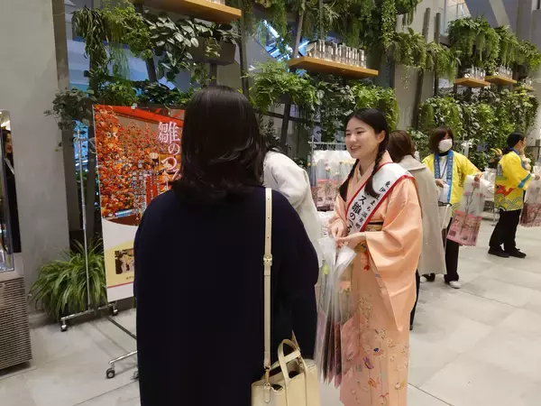 「【玉川高島屋S.C.】イベント情報／毎年恒例の静岡県東伊豆町稲取発祥「雛のつるし飾り」を飾った“ひなまつり”イベントを3月3日(火)まで開催」の画像