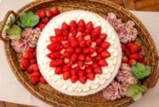 【キル フェ ボン】赤いカーネーションをモチーフにした母の日限定タルト新登場「2026 Mother’s Day」