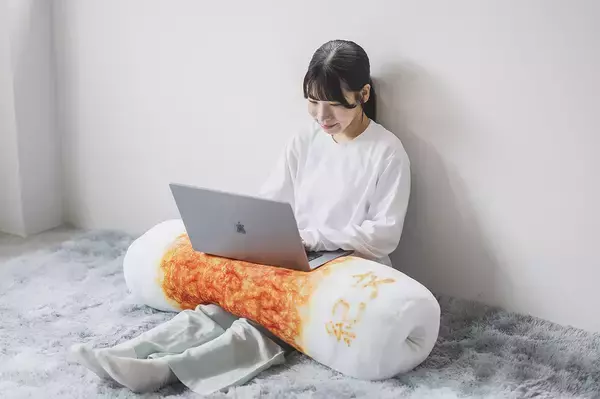 「『長さ1m！紀文の超！BIGちくわクッションBOOK』2026年11月30日（月）発売決定！」の画像