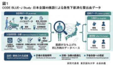 【東京医科大学】小腸出血は大腸出血より輸血・手術・長期死亡リスクが高いことを解明 ～世界最大規模約1万例の急性下部消化管出血データ構築～