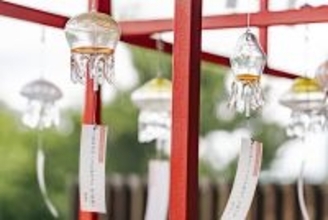 【京都水族館】新作を加えた約170個の風鈴で夏を彩る「くらげと傘と風鈴と」5月30日（土）よりスタート