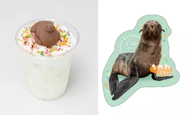 「【京都水族館】オットセイ「ちのわ」1歳の誕生日をみんなでお祝い!6月30日（火）「ちのわ」バースデーイベント開催」の画像