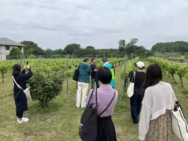 「塩尻観光ワインガイドと行く！信州塩尻ワイナリーめぐりバス、先着順にて絶賛予約受付中です！」の画像