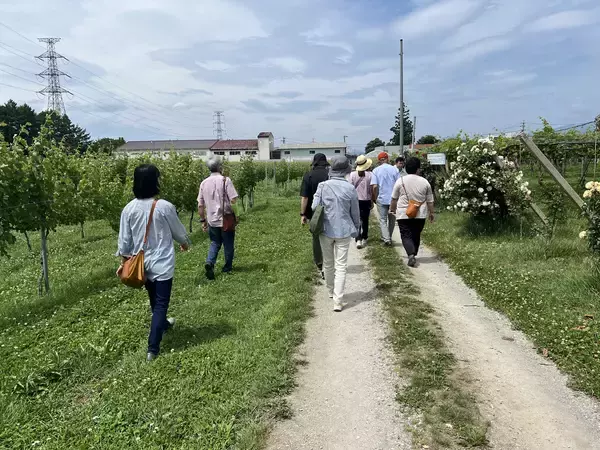 「塩尻観光ワインガイドと行く！信州塩尻ワイナリーめぐりバス、先着順にて絶賛予約受付中です！」の画像